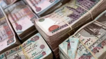 صرف المرتبات.. وزارة المالية تعلن جدول مرتب نوفمبر 2025 بالتفصيل